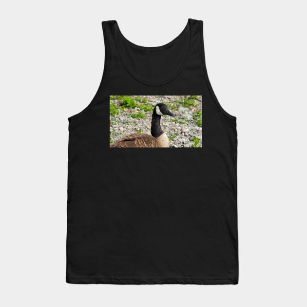 Canada Goose Up Close Tank Top by BackyardBirder